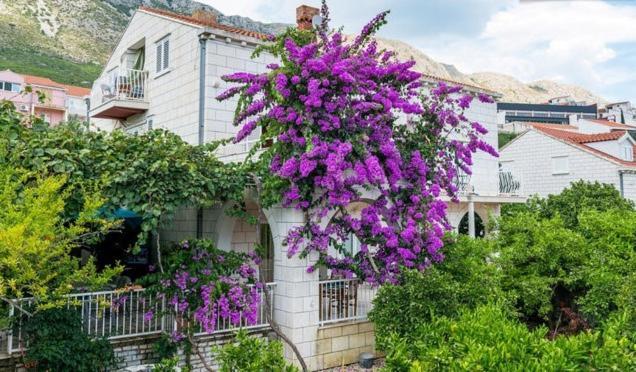 Apartments Husanovic Mokošica Habitación foto